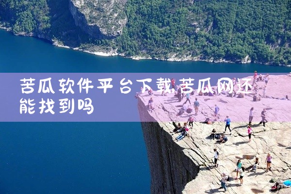 苦瓜软件平台下载