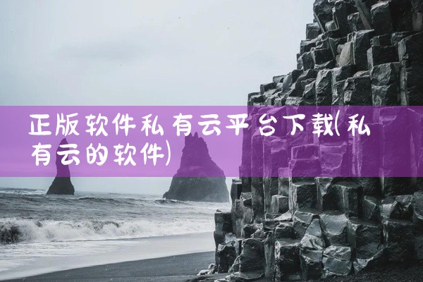正版软件私有云平台下载