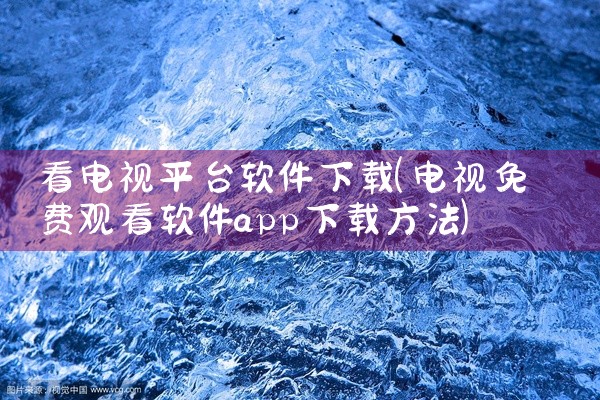 看电视平台软件下载