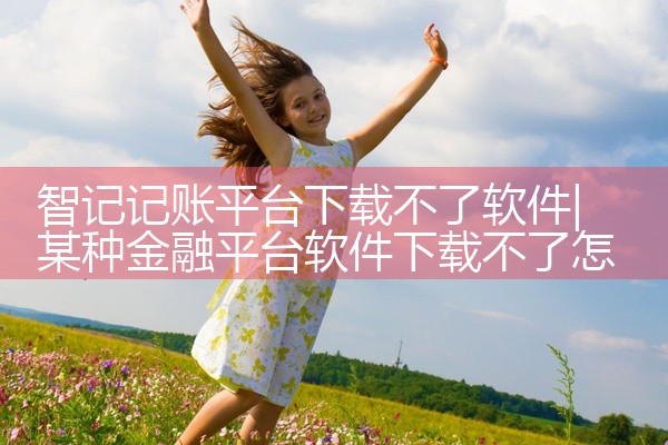 智记记账平台下载不了软件