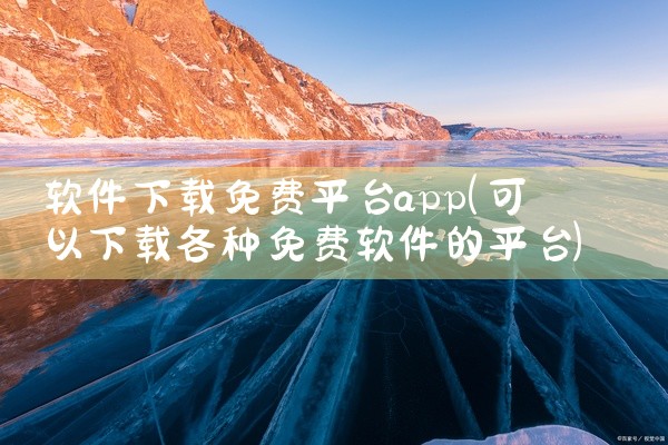 软件下载免费平台app