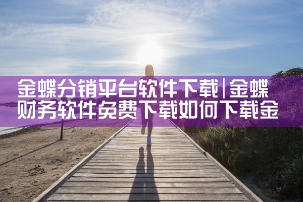 金蝶分销平台软件下载