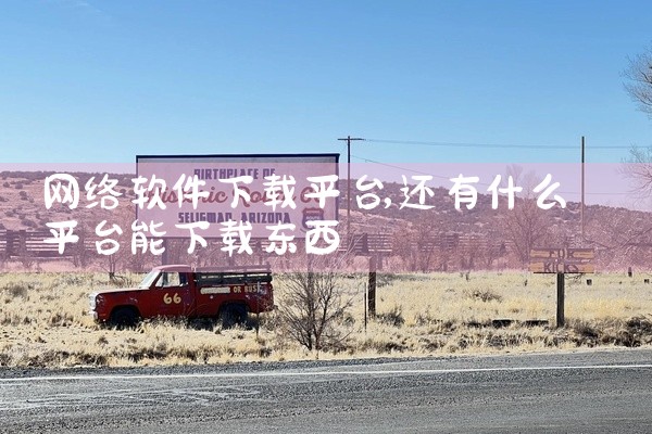 网络软件下载平台